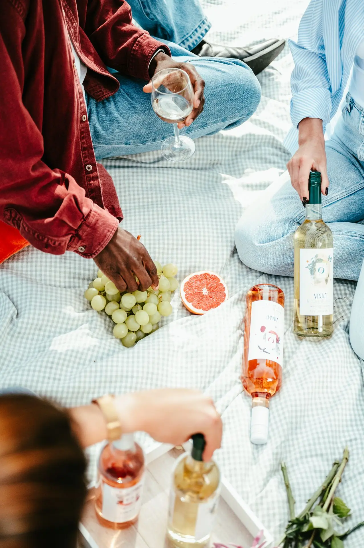 Picnic avec vins désalcoolisés